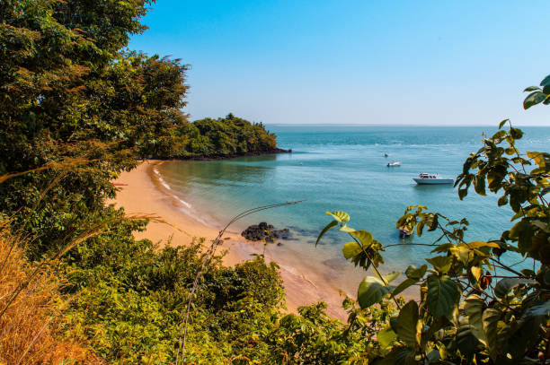 Guinea-Bissau Landscape