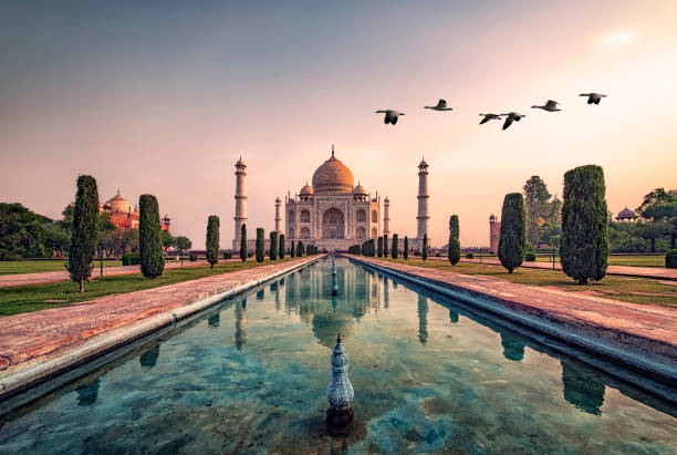 India Landscape