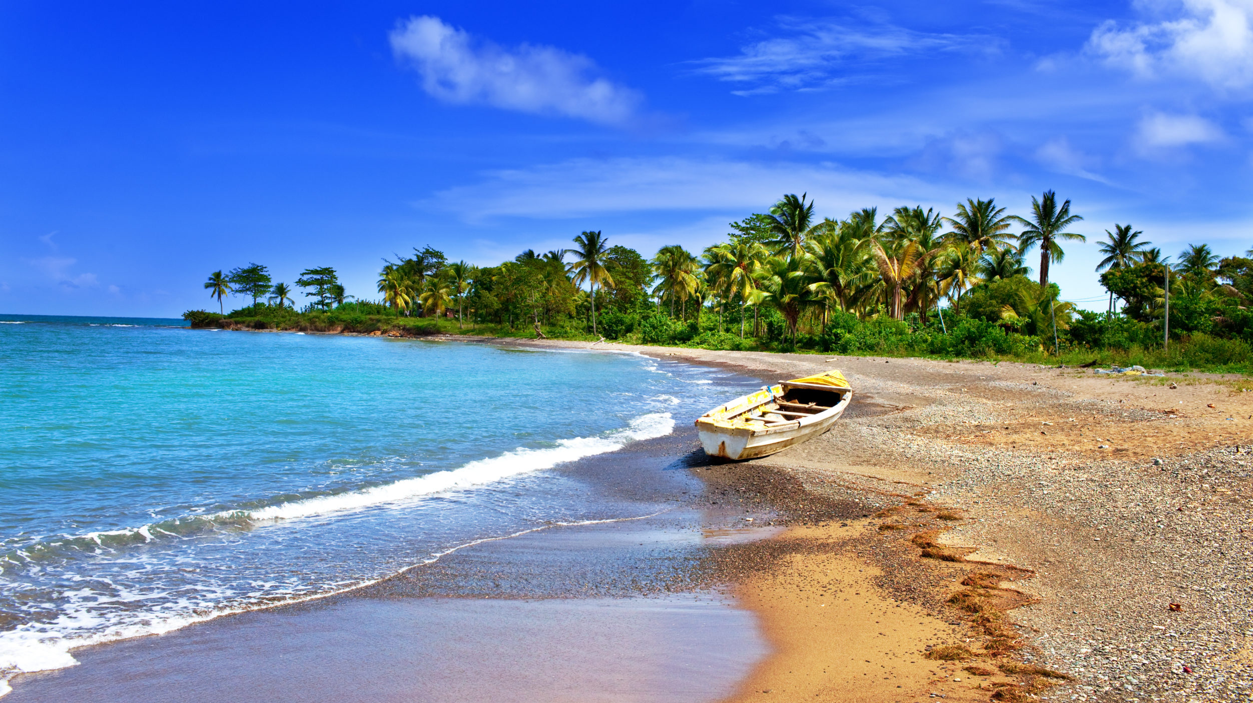 Jamaica Landscape