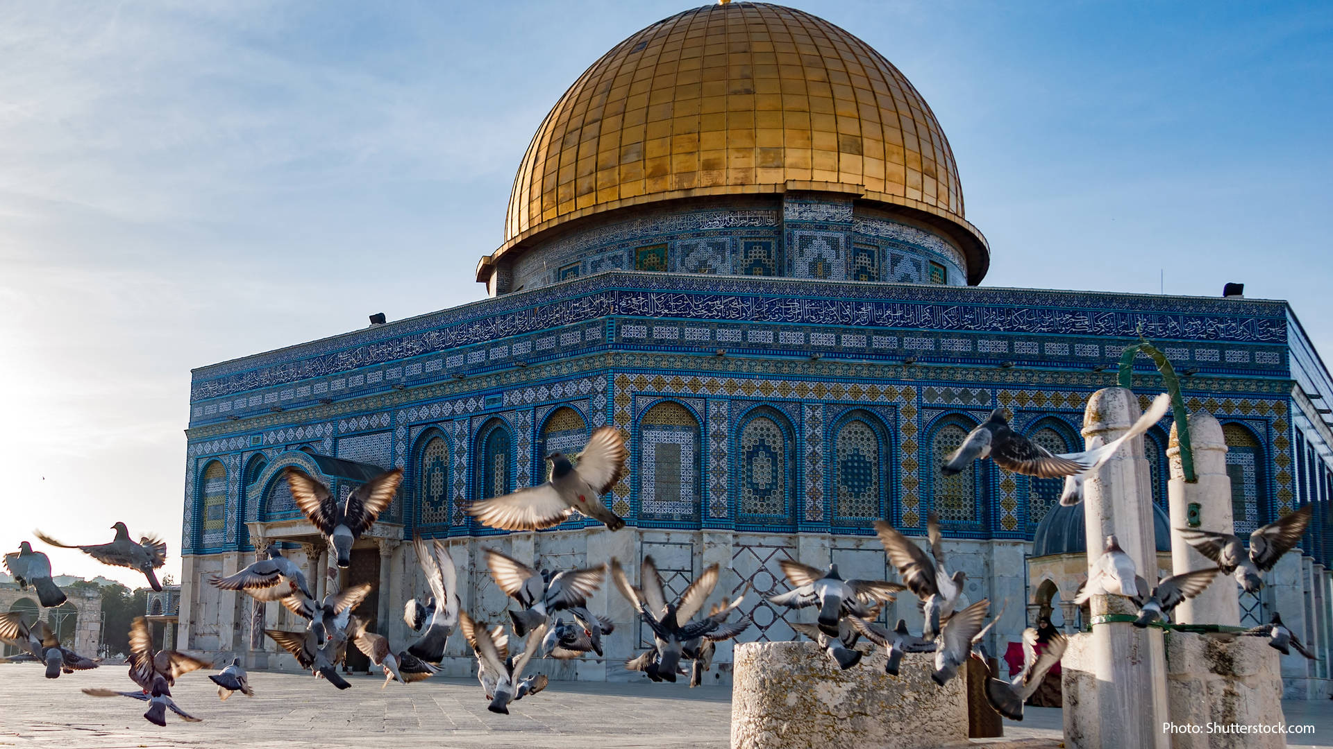 Palestine Landscape
