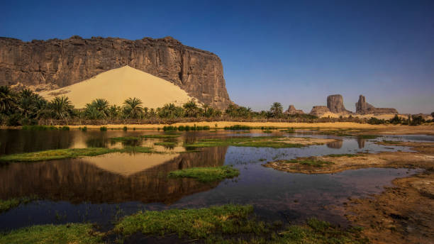 Chad Landscape