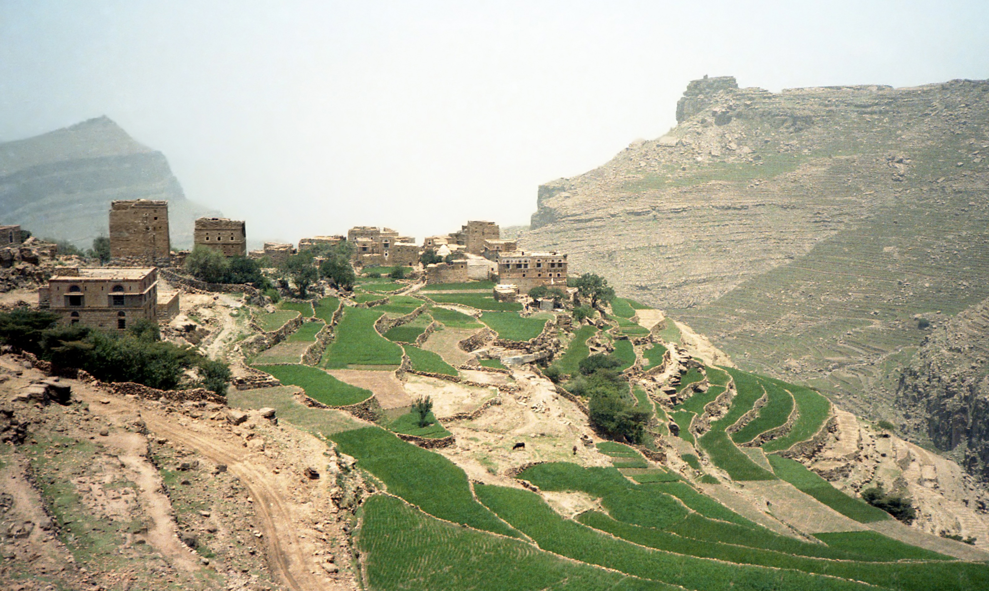 Yemen Landscape