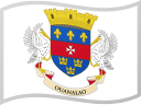 Saint Barthélemy Flag
